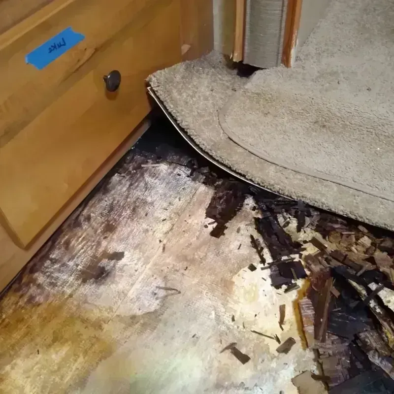 Wood Floor Water Damage in Springfield, NE